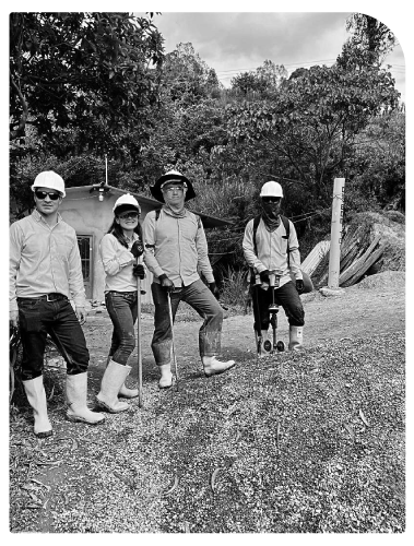 Vision Ingeciencia Ingenieria y Signum Ingeniería SAS